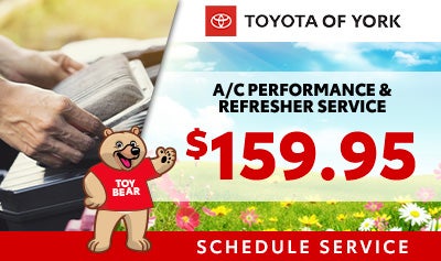 A/C Performance & Refresher Service