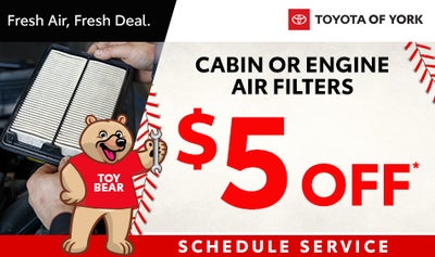 Cabin Air Filters OR Engine Air Filters