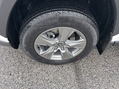 2025 Toyota RAV4 XLE