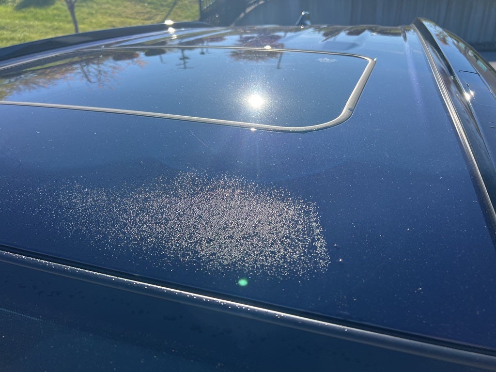 2025 Toyota RAV4 Plug-in Hybrid SE