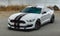 2017 Ford Mustang Shelby GT350R