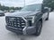 2023 Toyota Tundra Hybrid Platinum
