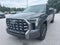 2023 Toyota Tundra Hybrid Platinum
