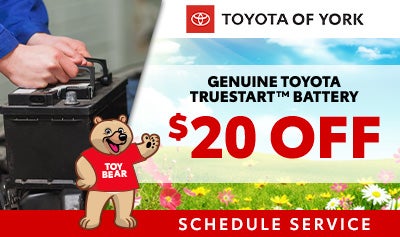 Toyota TrueStart Battery