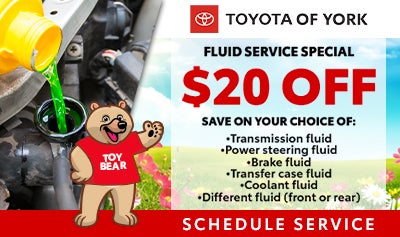 Spring Fluid Service Special